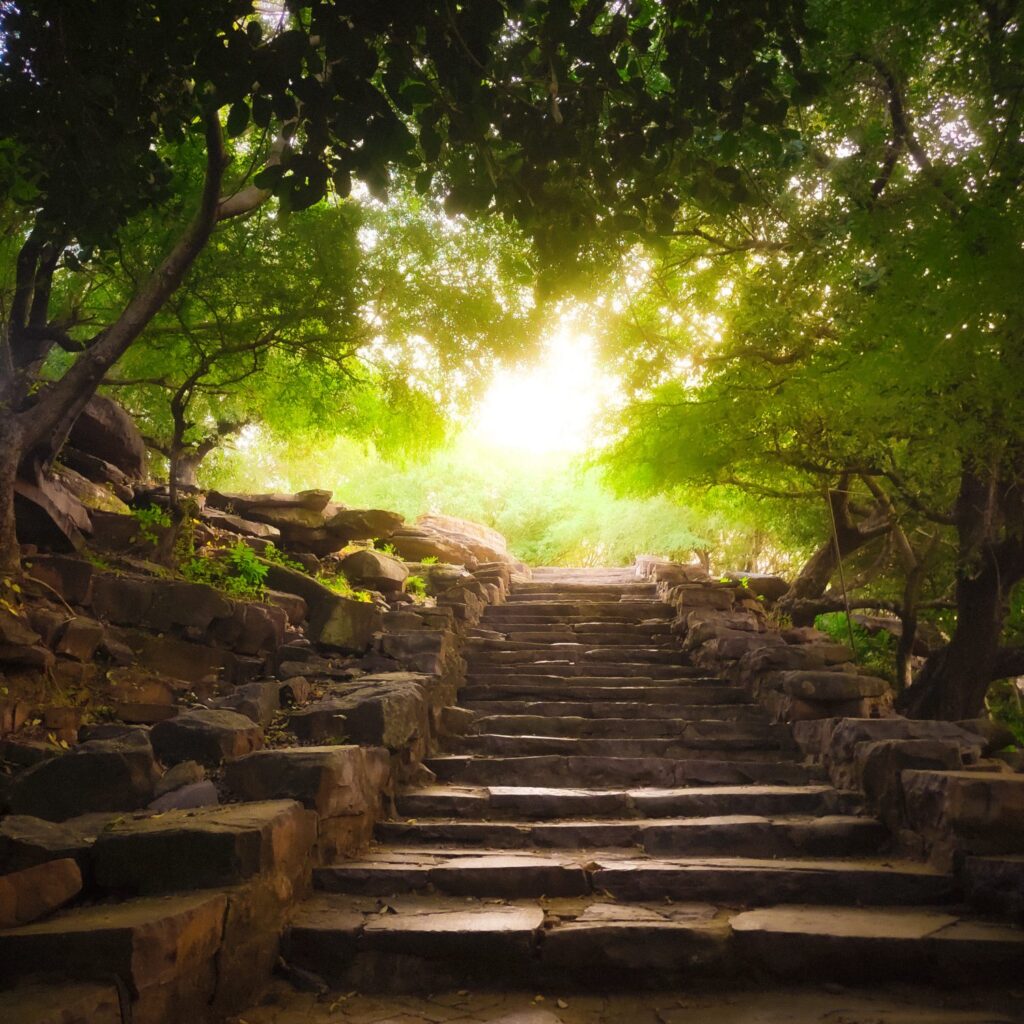 vive en conexion con la naturaleza un estilo de vida que te recargara